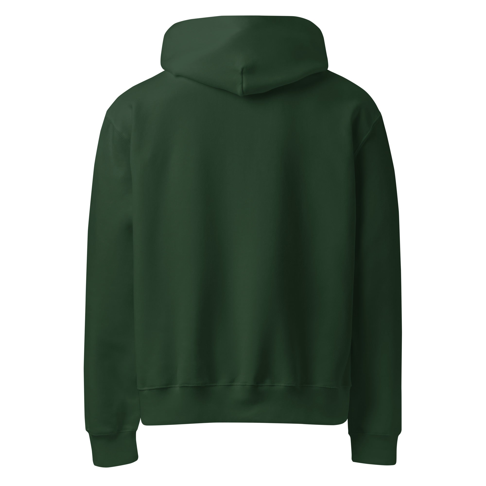 Camping vibe graphic hoodie Oversized heavyweight hoodie - RBW COLLECTION