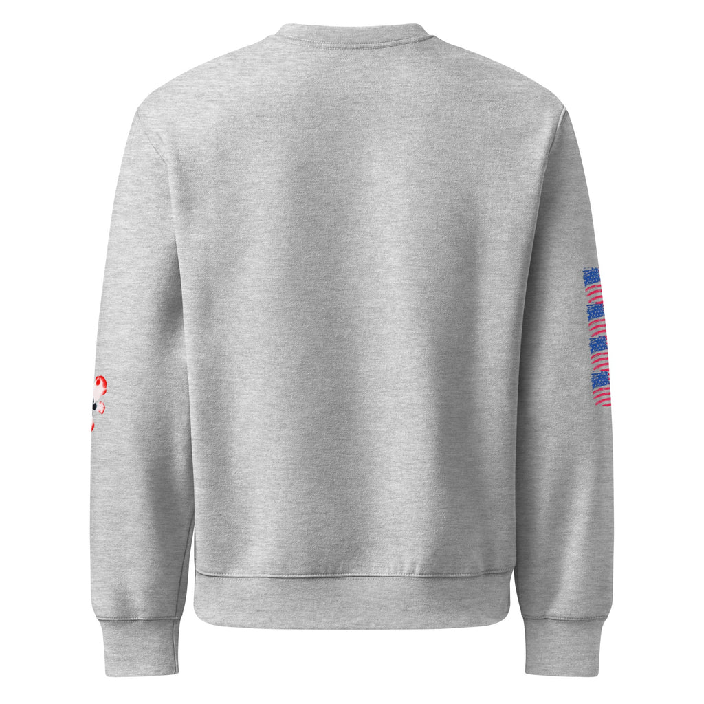 Unisex Premium Mid-Weight Hoodie for Men - Heavyweight Sweatshirt - RBW COLLECTION