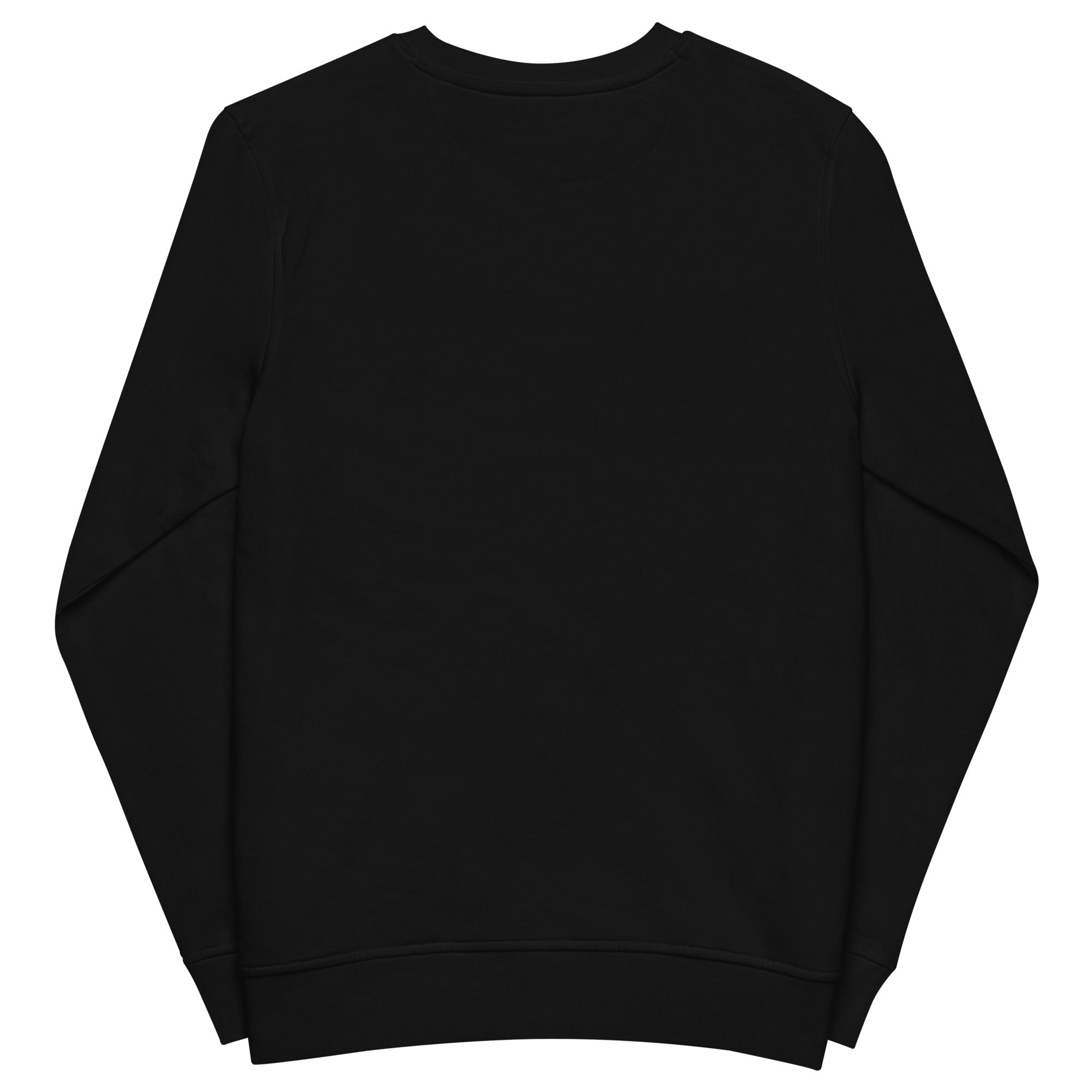 Pearl Jam Graphic Sweatshirt – Vintage Rock Band Pullover | RBW Collection Shop - RBW COLLECTION
