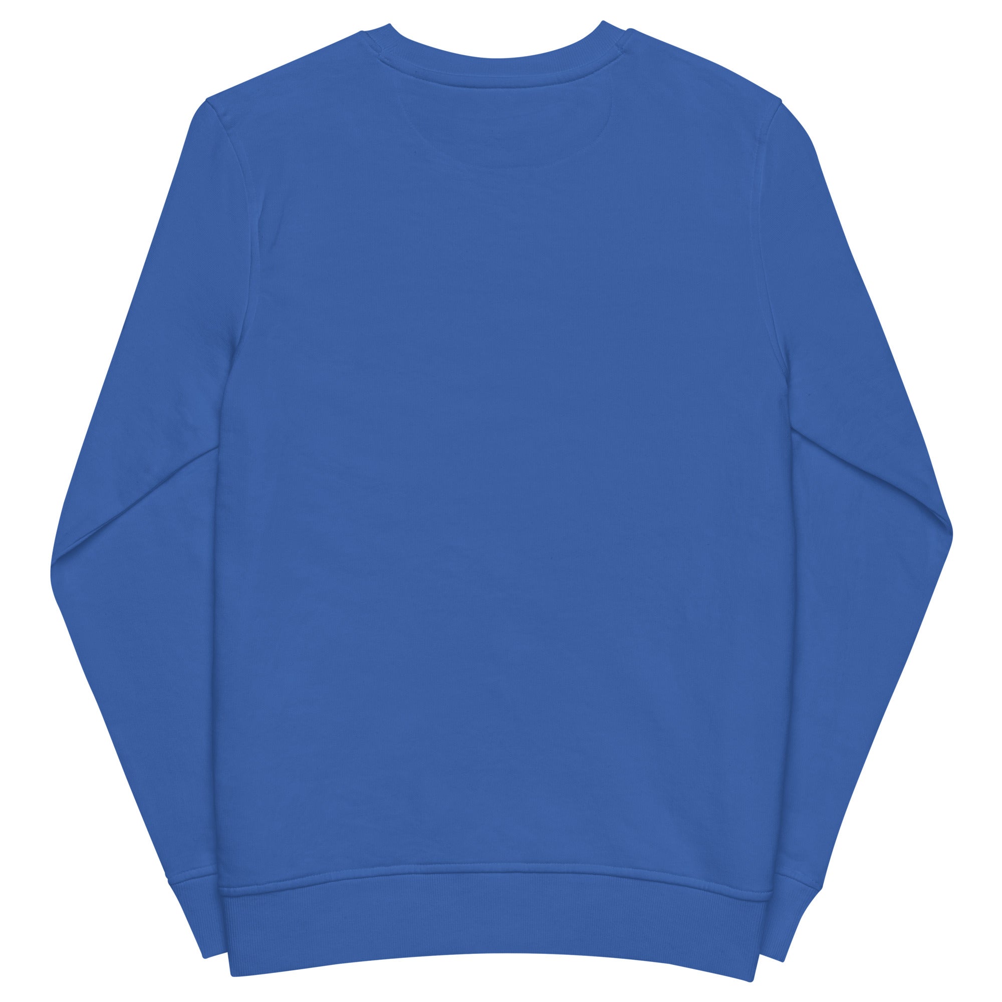 Pearl Jam Graphic Sweatshirt – Vintage Rock Band Pullover | RBW Collection Shop - RBW COLLECTION