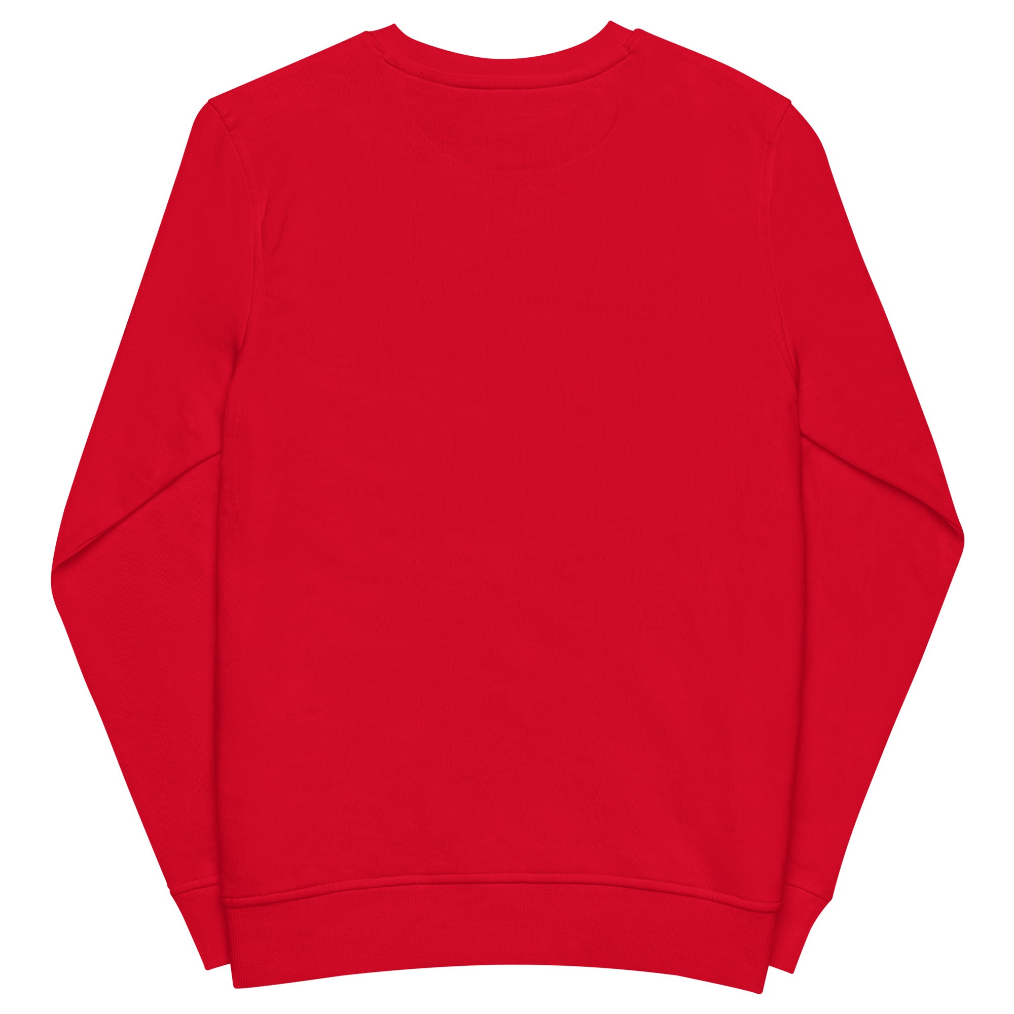 Pearl Jam Graphic Sweatshirt – Vintage Rock Band Pullover | RBW Collection Shop - RBW COLLECTION