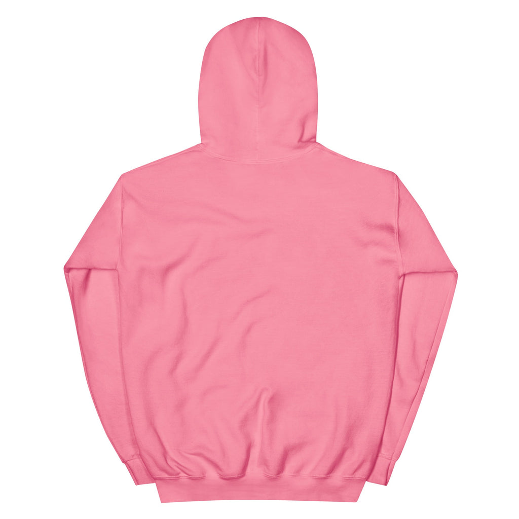 RBW Blue Grass Band Graphic Hoodie – Music Vibes, Everyday Cool - RBW COLLECTION