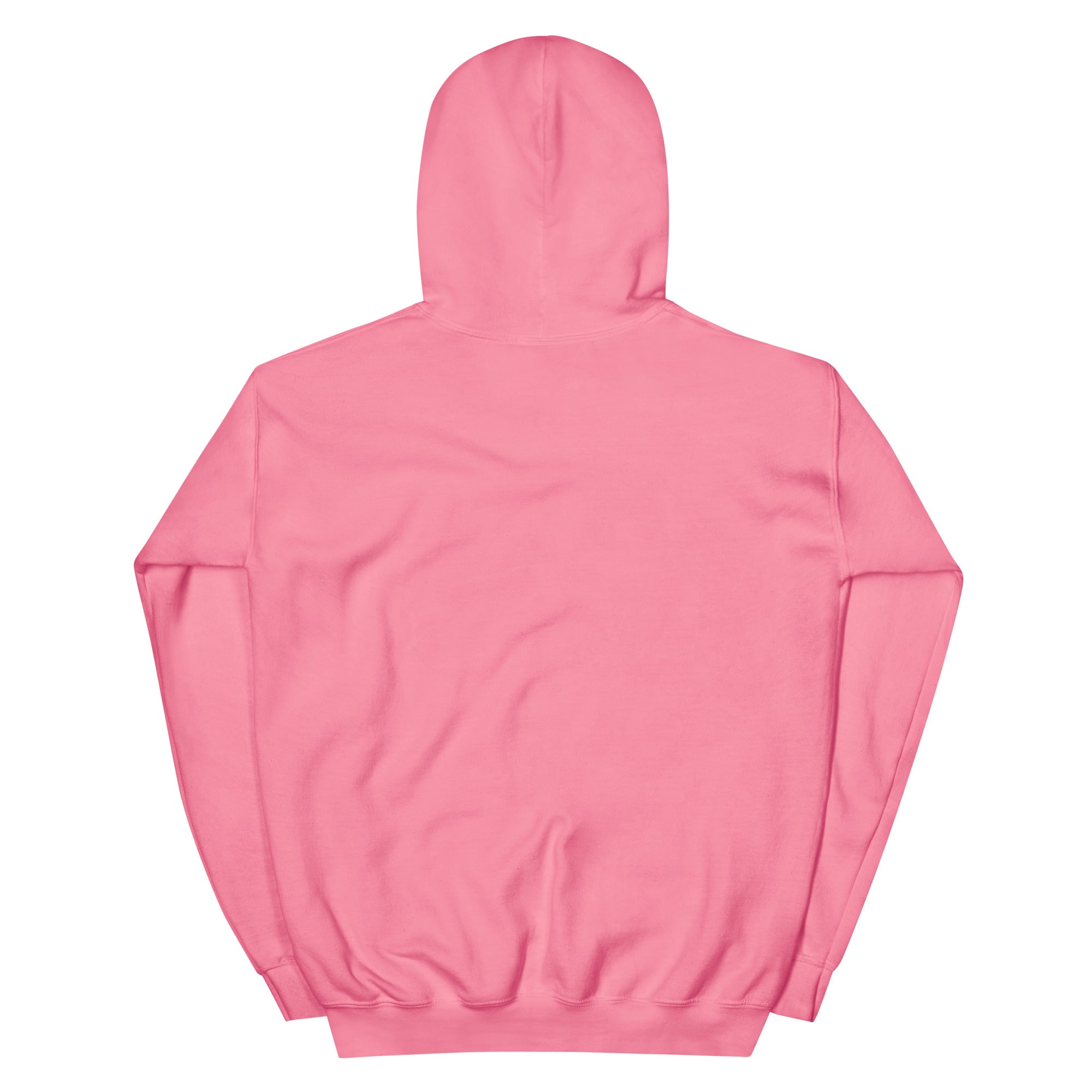 RBW Blue Grass Band Graphic Hoodie – Music Vibes, Everyday Cool - RBW COLLECTION