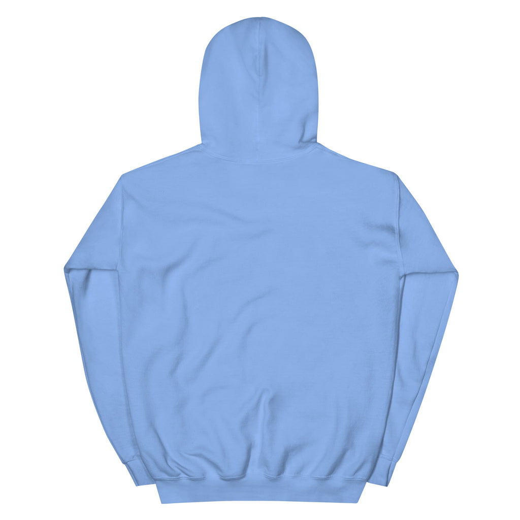 RBW Blue Grass Band Graphic Hoodie – Music Vibes, Everyday Cool - RBW COLLECTION
