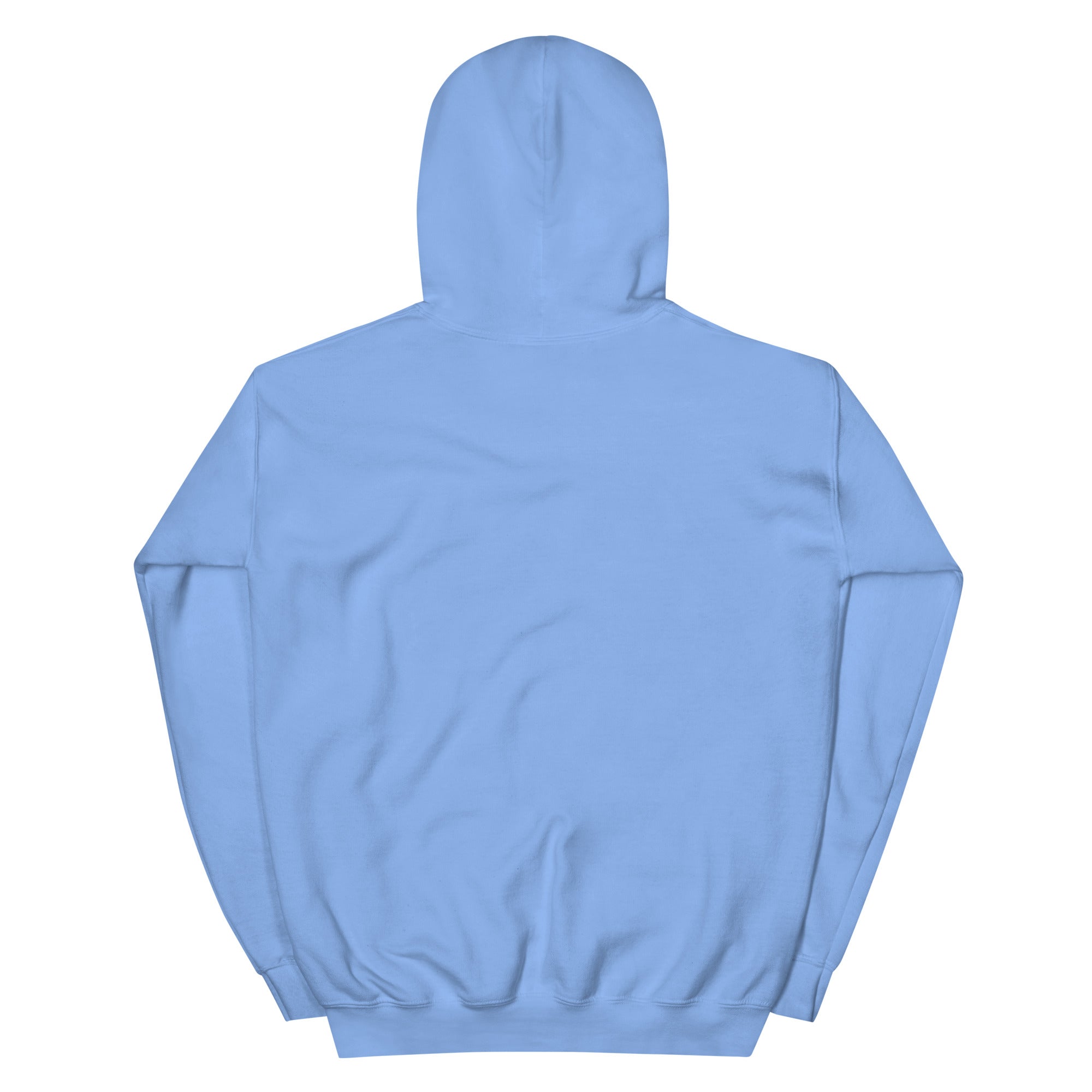 RBW Blue Grass Band Graphic Hoodie – Music Vibes, Everyday Cool - RBW COLLECTION