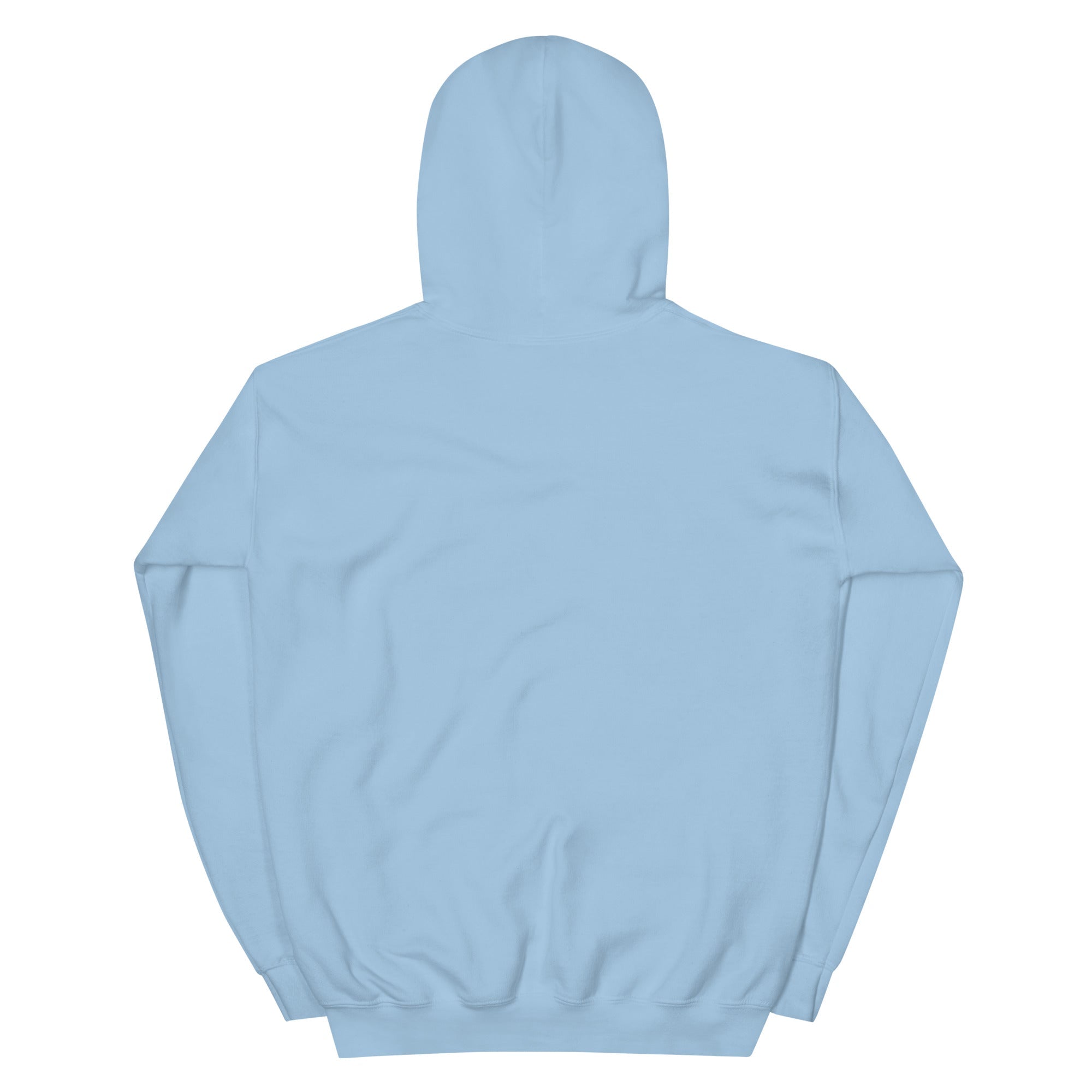 RBW Blue Grass Band Graphic Hoodie – Music Vibes, Everyday Cool - RBW COLLECTION