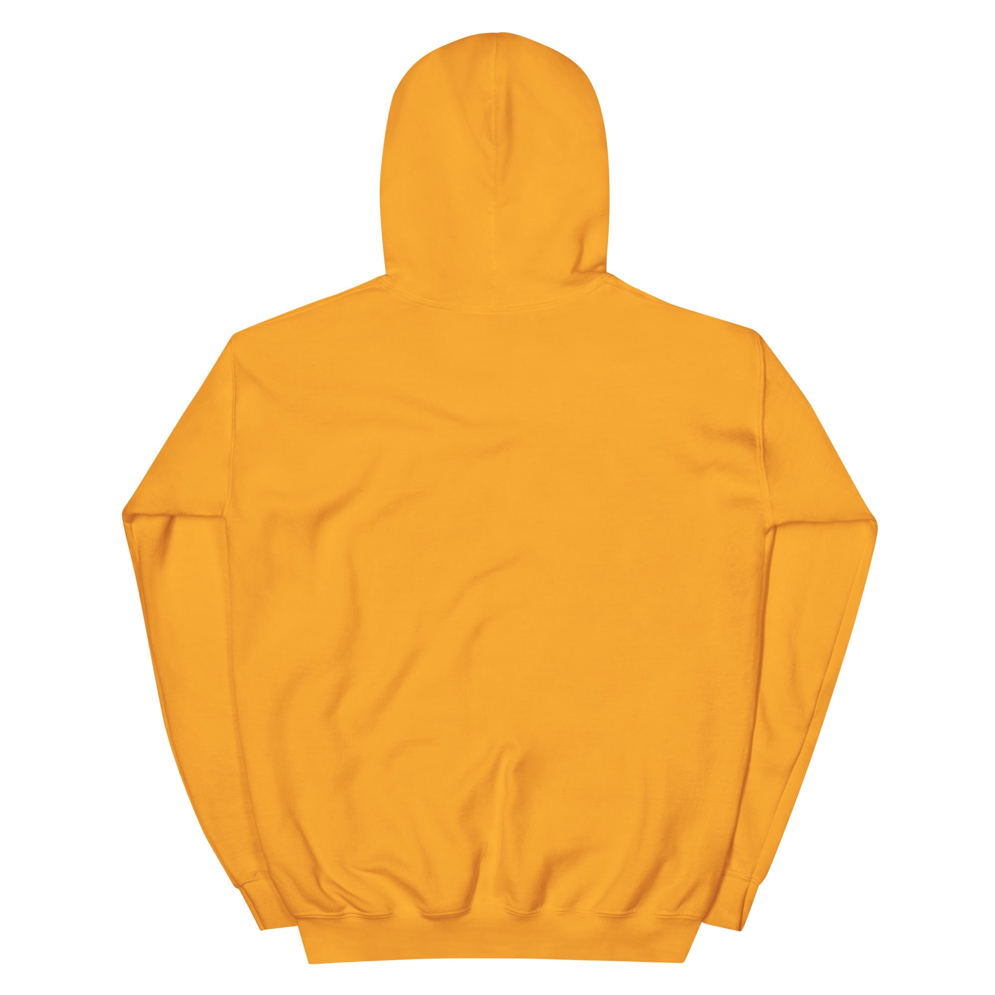 RBW Blue Grass Band Graphic Hoodie – Music Vibes, Everyday Cool - RBW COLLECTION