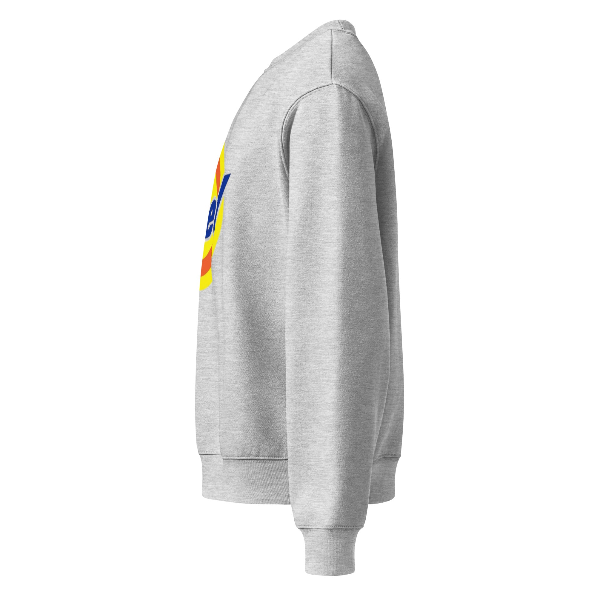 TRIED SWEATSHIRT Oversized heavyweight sweatshirt - RBW COLLECTION