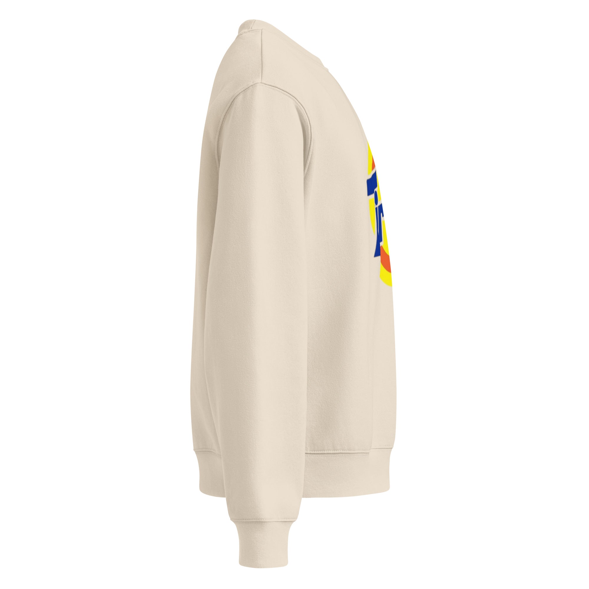 TRIED SWEATSHIRT Oversized heavyweight sweatshirt - RBW COLLECTION