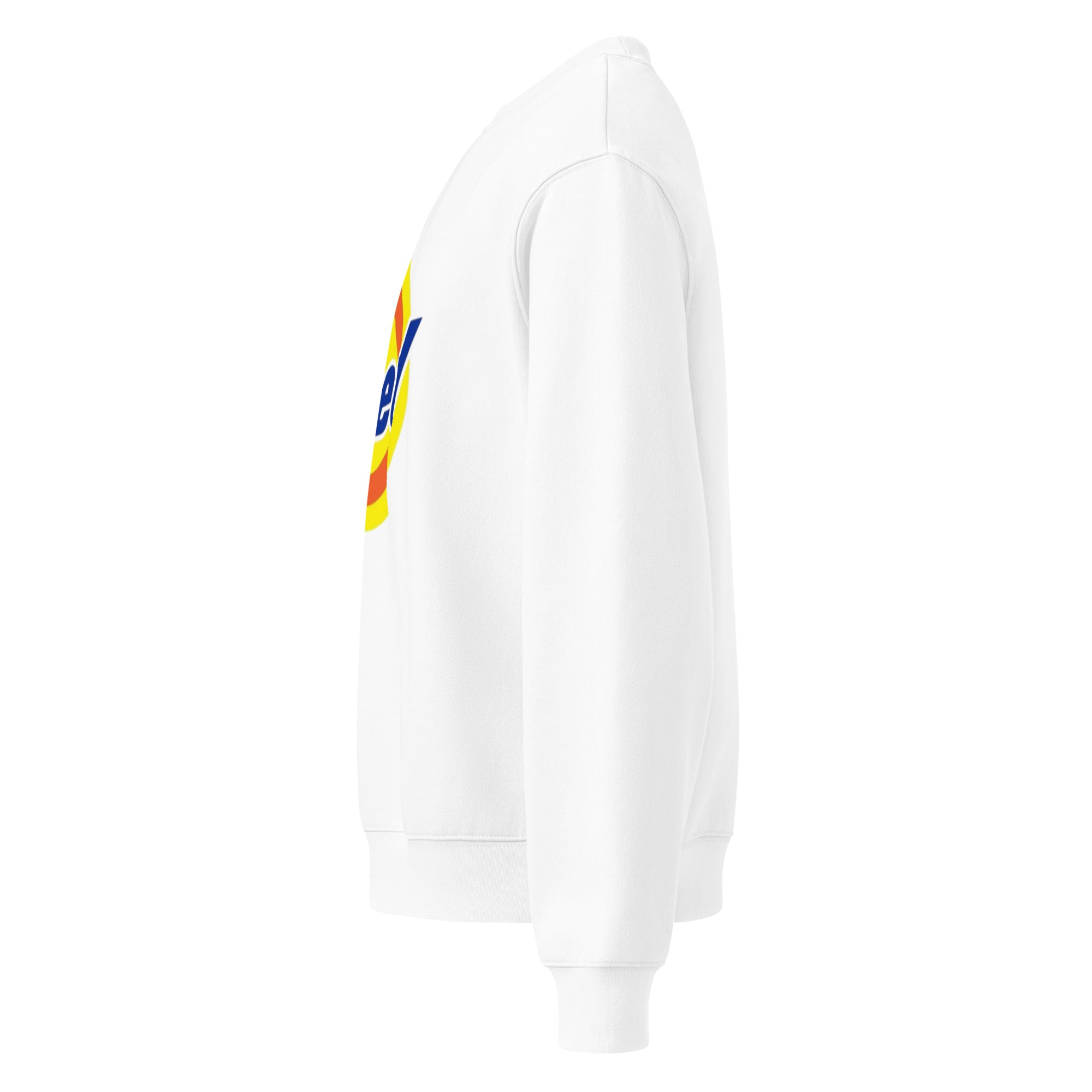 TRIED SWEATSHIRT Oversized heavyweight sweatshirt - RBW COLLECTION