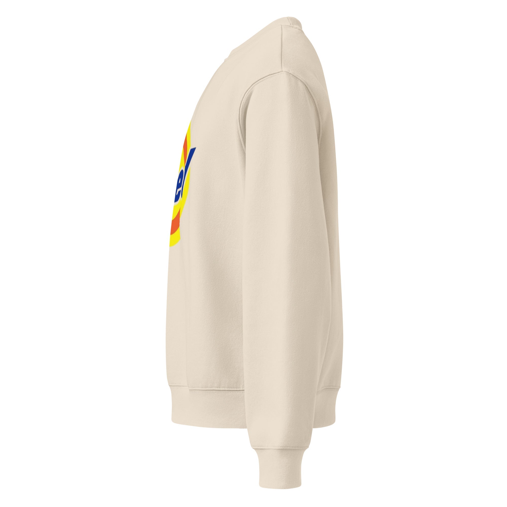 TRIED SWEATSHIRT Oversized heavyweight sweatshirt - RBW COLLECTION