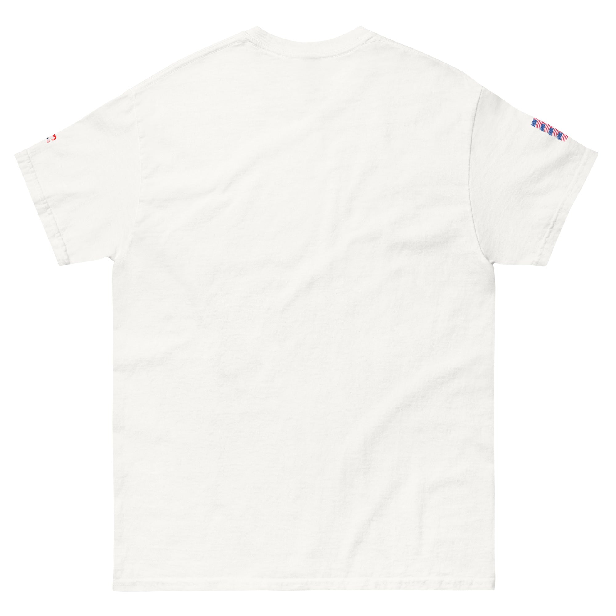 Premium Mid-Weight Unisex Hoodie for Men - RBW COLLECTION