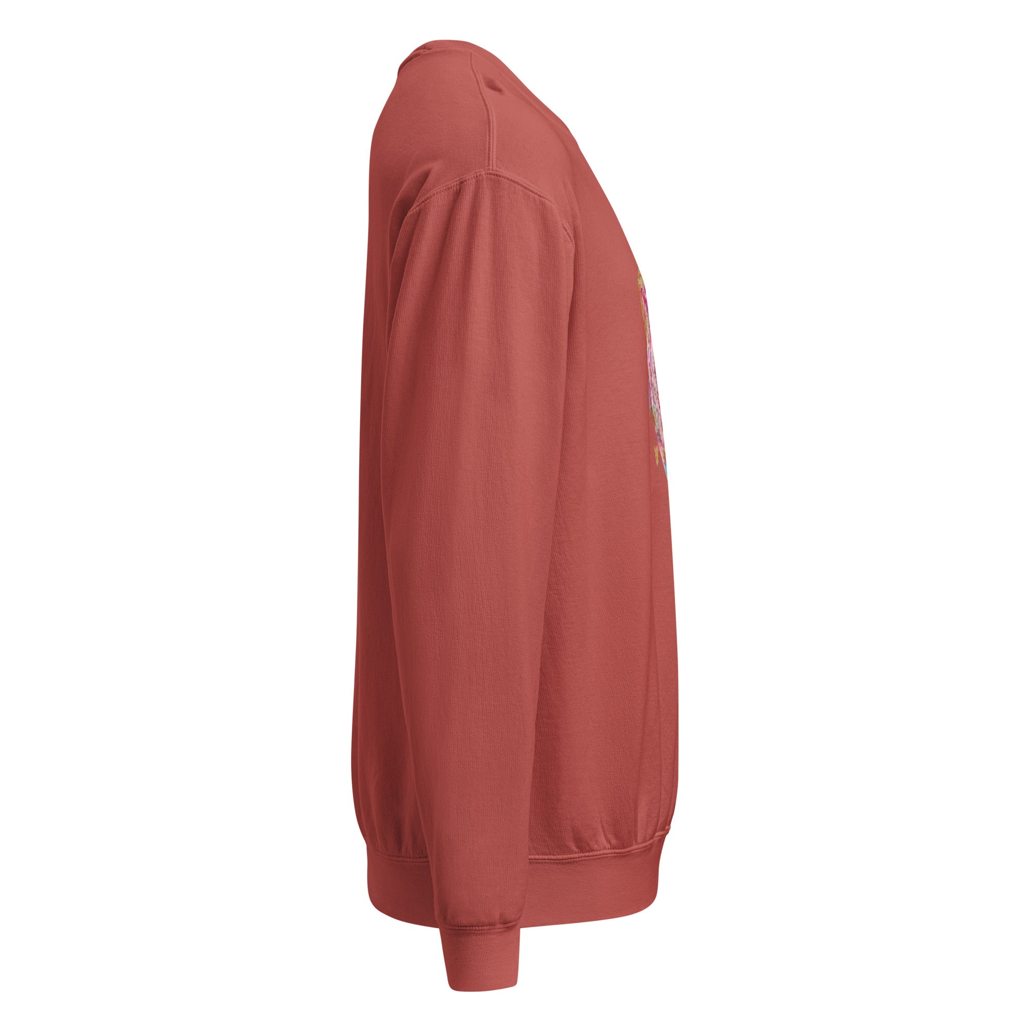 Premium Mid-Weight Unisex Hoodie for Men - Perfect Fleece Sweatshirt - RBW COLLECTION