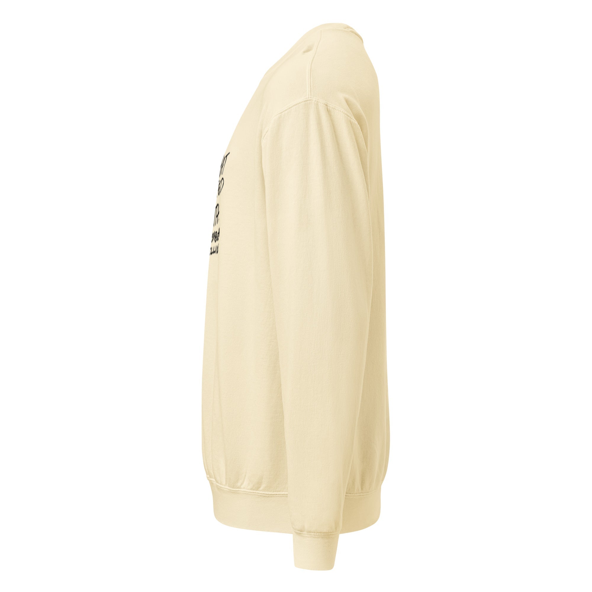 Premium Mid-Weight Unisex Hoodie for Men - RBW COLLECTION