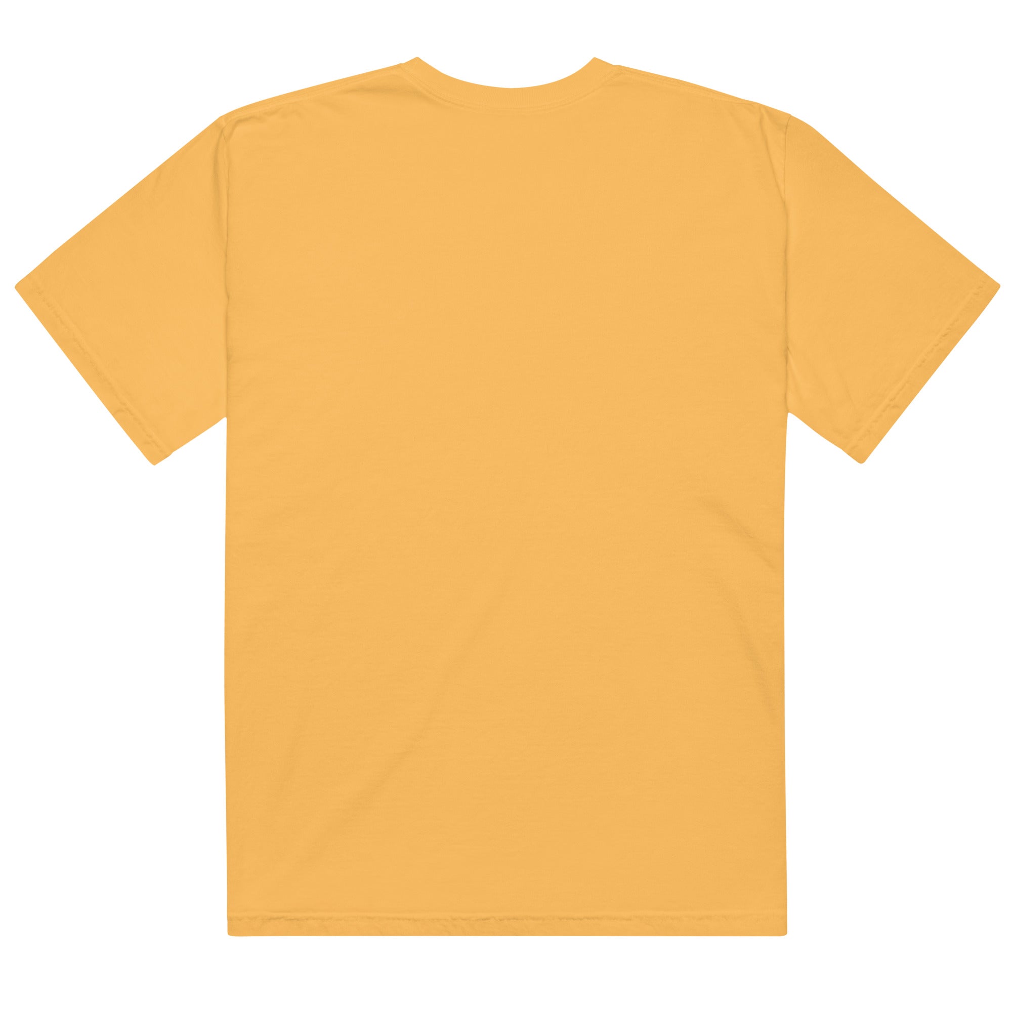 Unisex garment - dyed heavyweight t-shirt - RBW COLLECTION