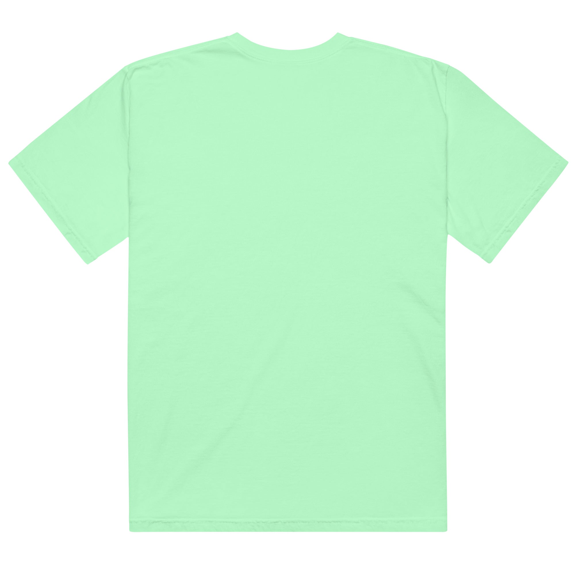 Unisex garment - dyed heavyweight t-shirt - RBW COLLECTION
