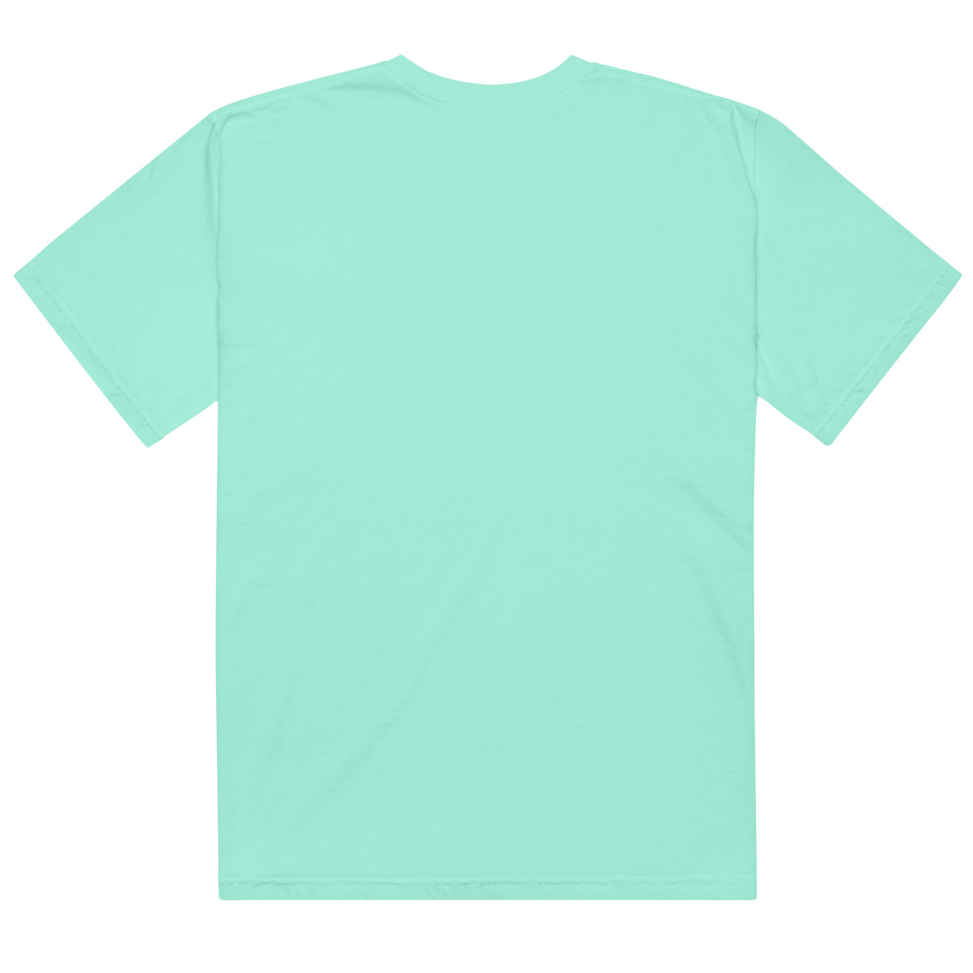 Unisex garment - dyed heavyweight t-shirt - RBW COLLECTION