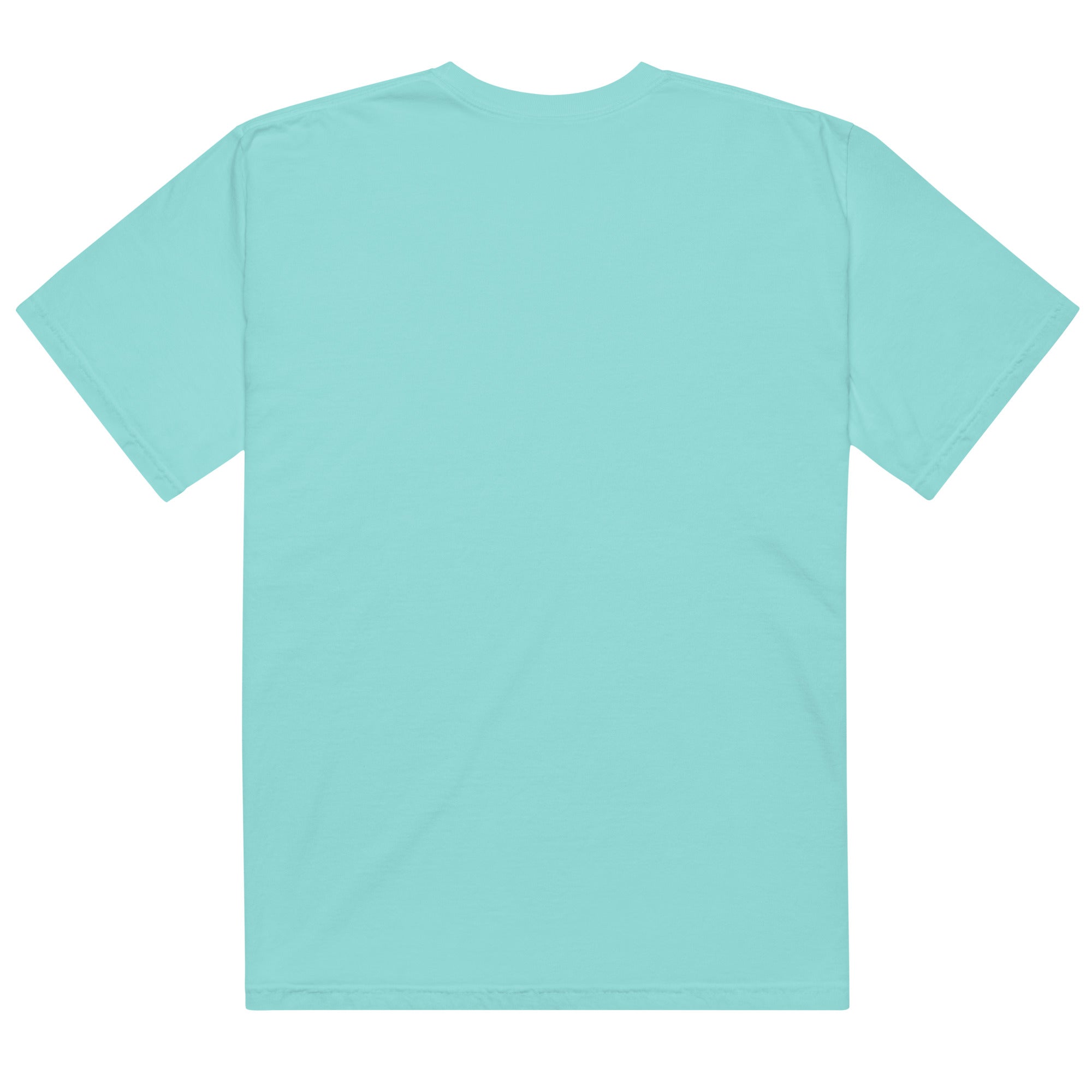 Unisex garment - dyed heavyweight t-shirt - RBW COLLECTION