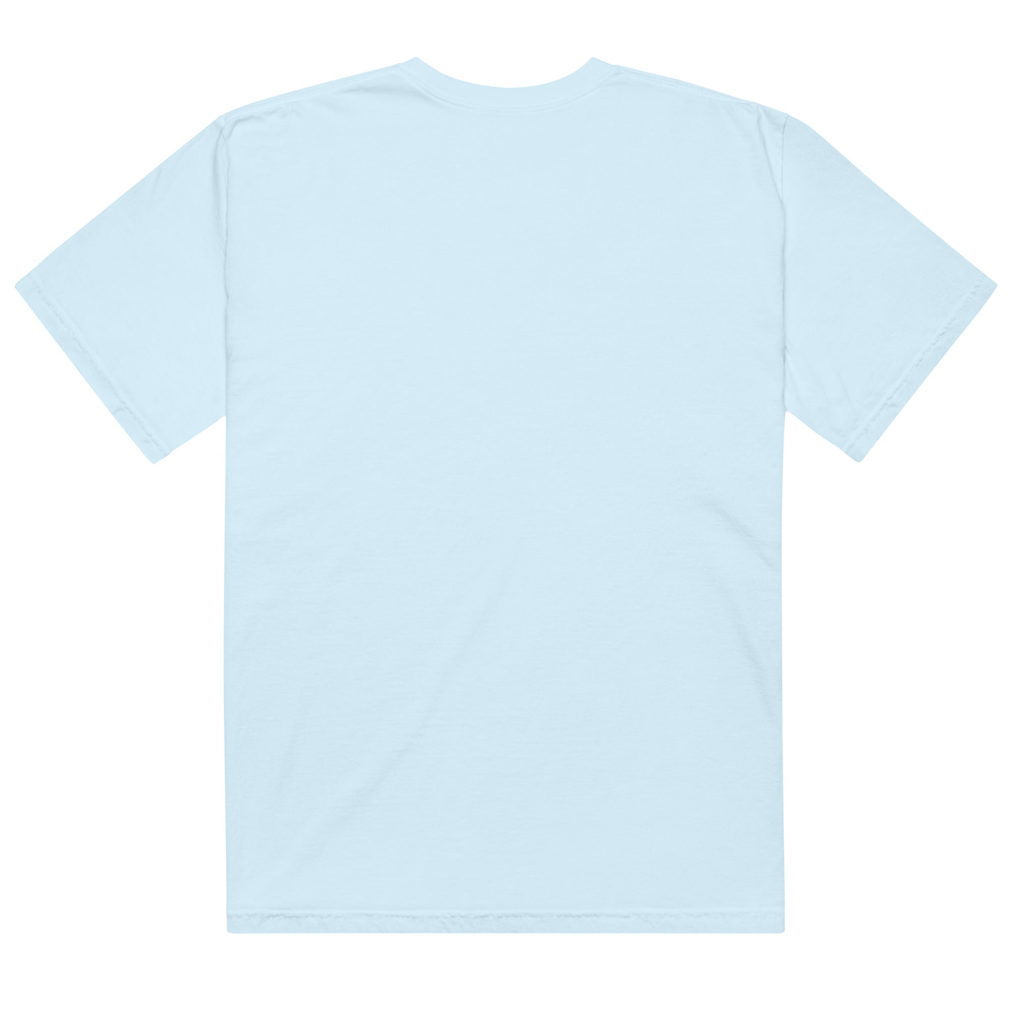 Unisex garment - dyed heavyweight t-shirt - RBW COLLECTION