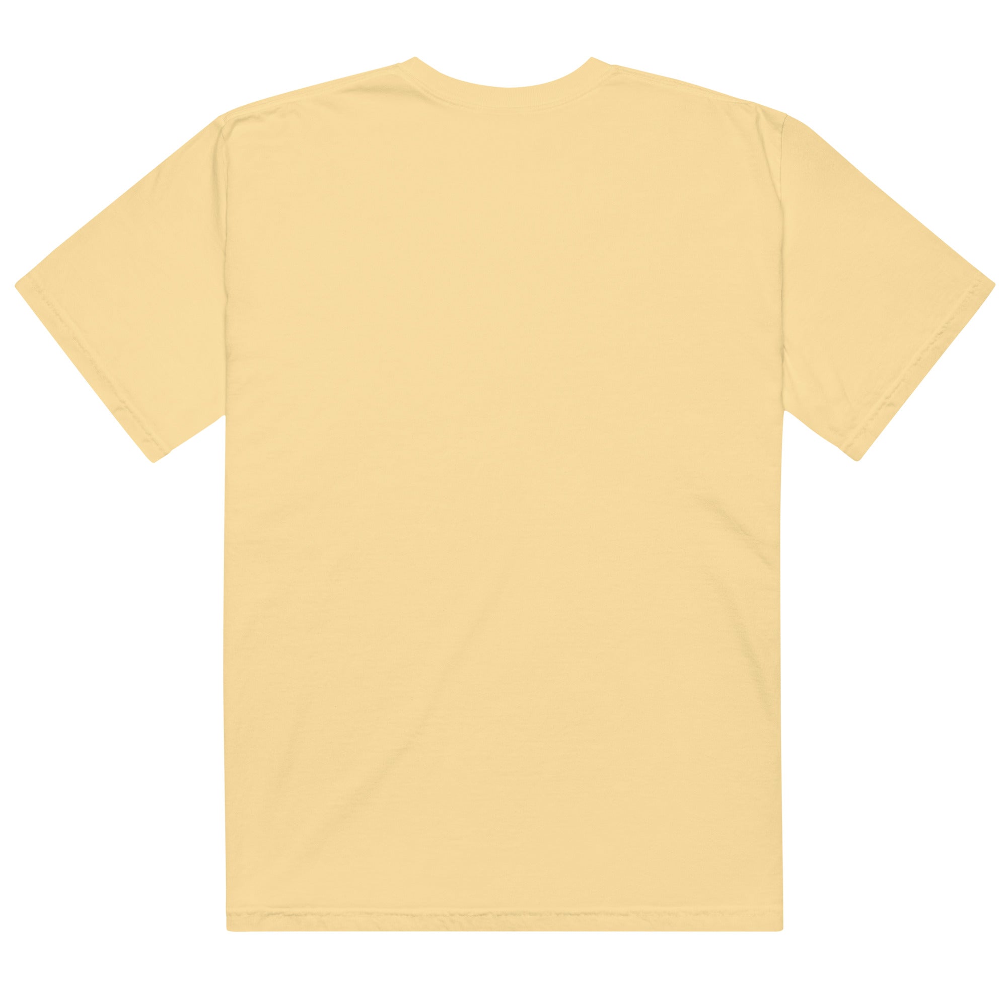 Unisex garment - dyed heavyweight t-shirt - RBW COLLECTION