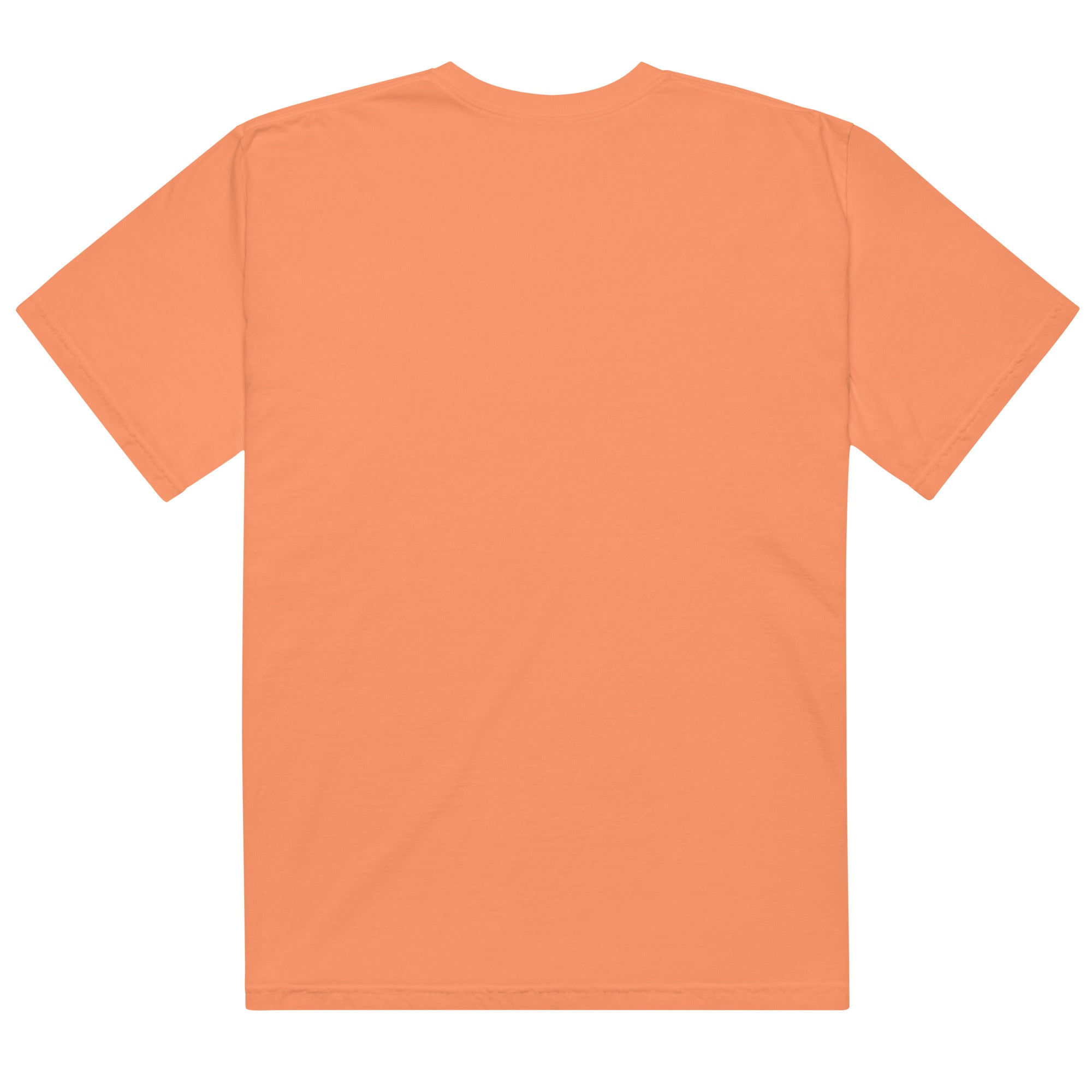 Unisex garment - dyed heavyweight t-shirt - RBW COLLECTION