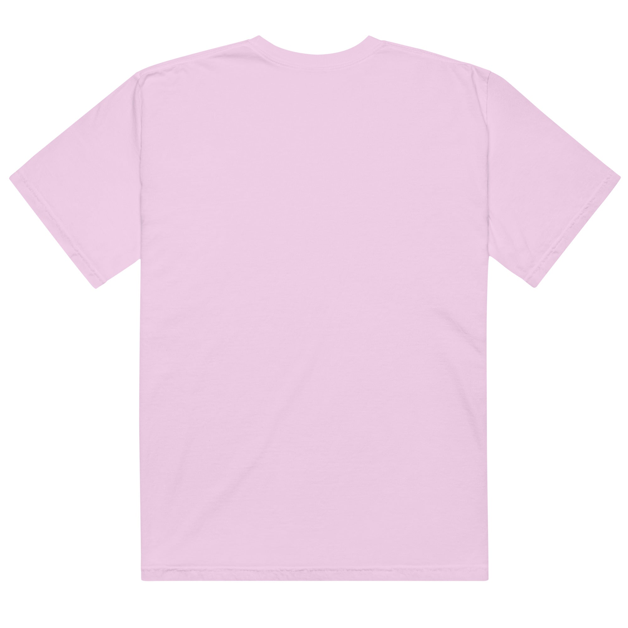 Unisex garment - dyed heavyweight t-shirt - RBW COLLECTION