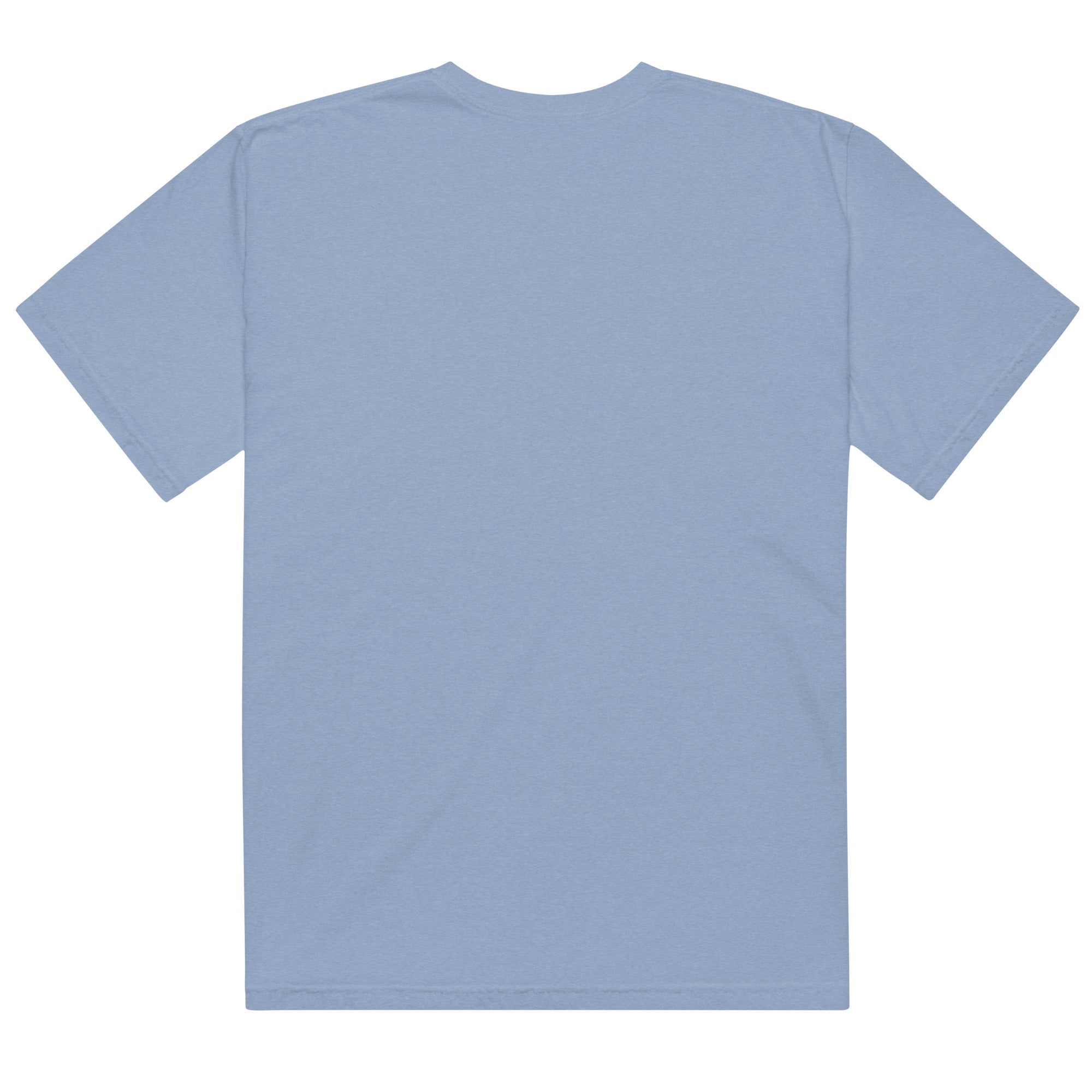 Unisex garment - dyed heavyweight t-shirt - RBW COLLECTION