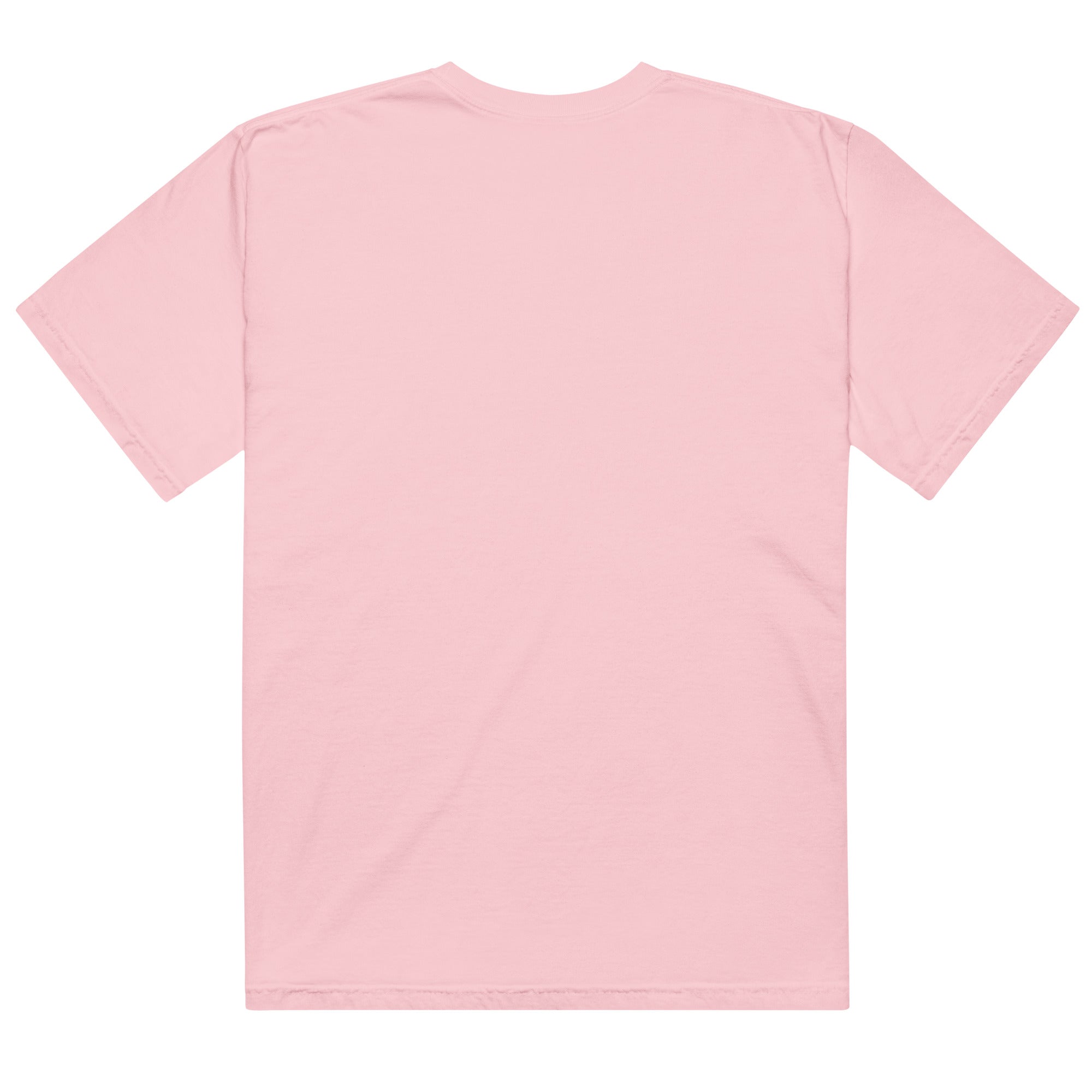 Unisex garment - dyed heavyweight t-shirt - RBW COLLECTION