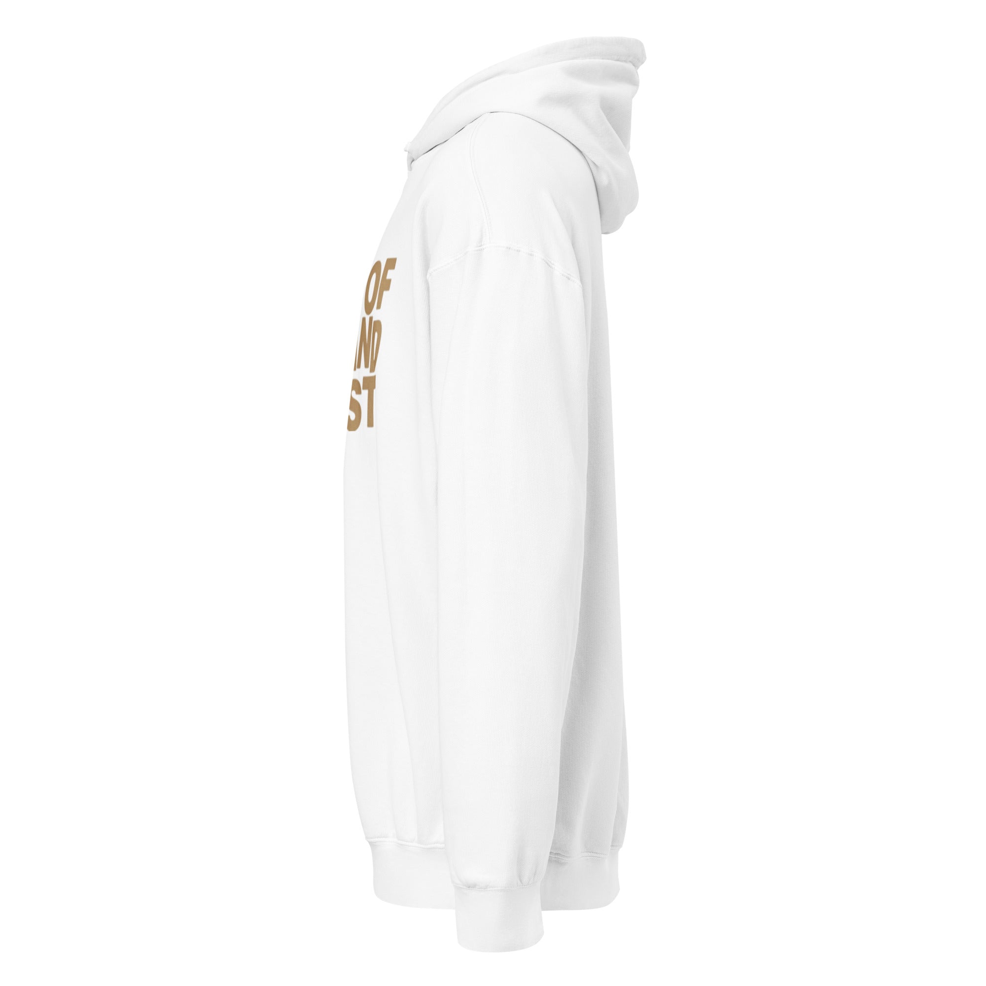 Premium Mid-Weight Unisex Hoodie for Men - Garment-Dyed & Lightweight - RBW COLLECTION