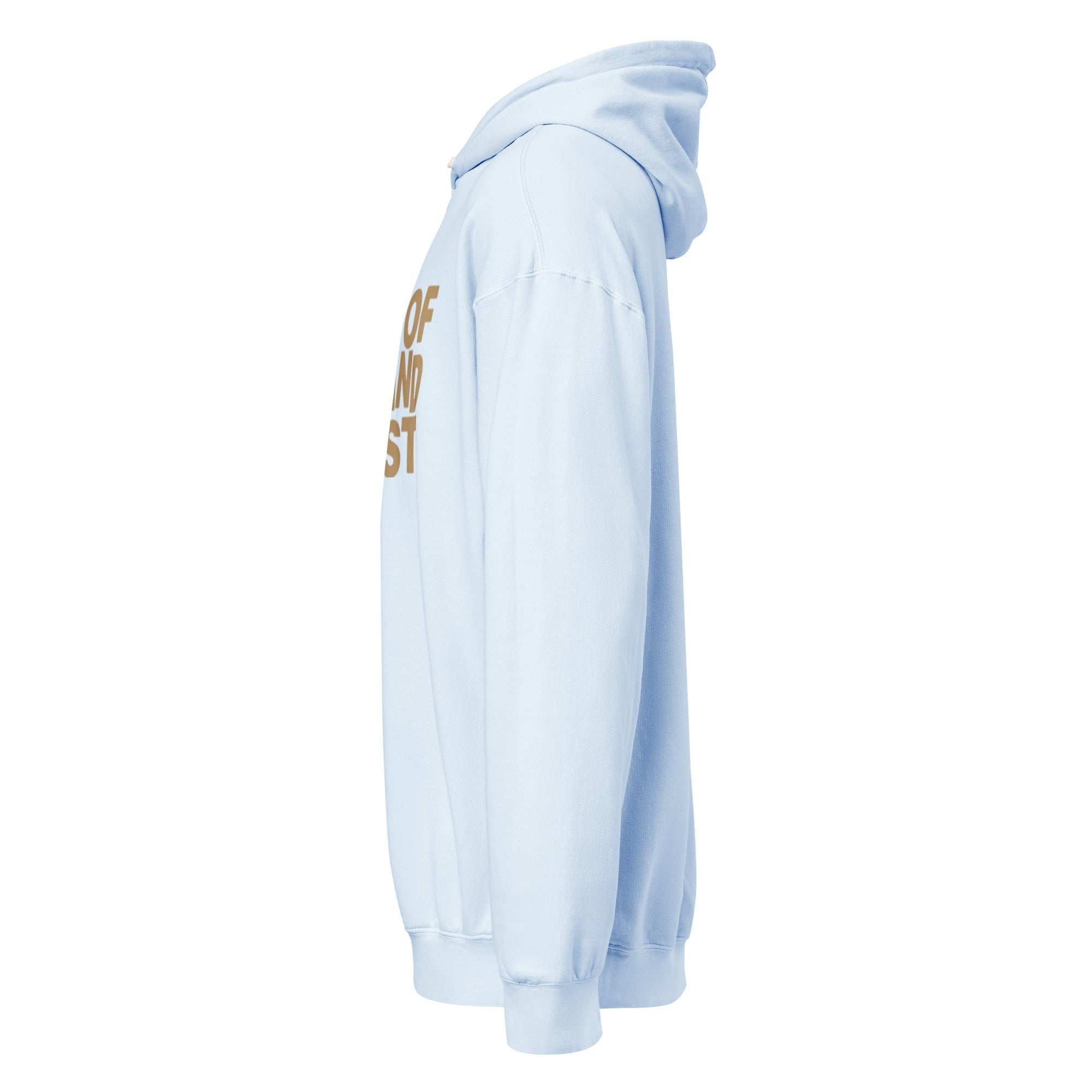 Premium Mid-Weight Unisex Hoodie for Men - Garment-Dyed & Lightweight - RBW COLLECTION