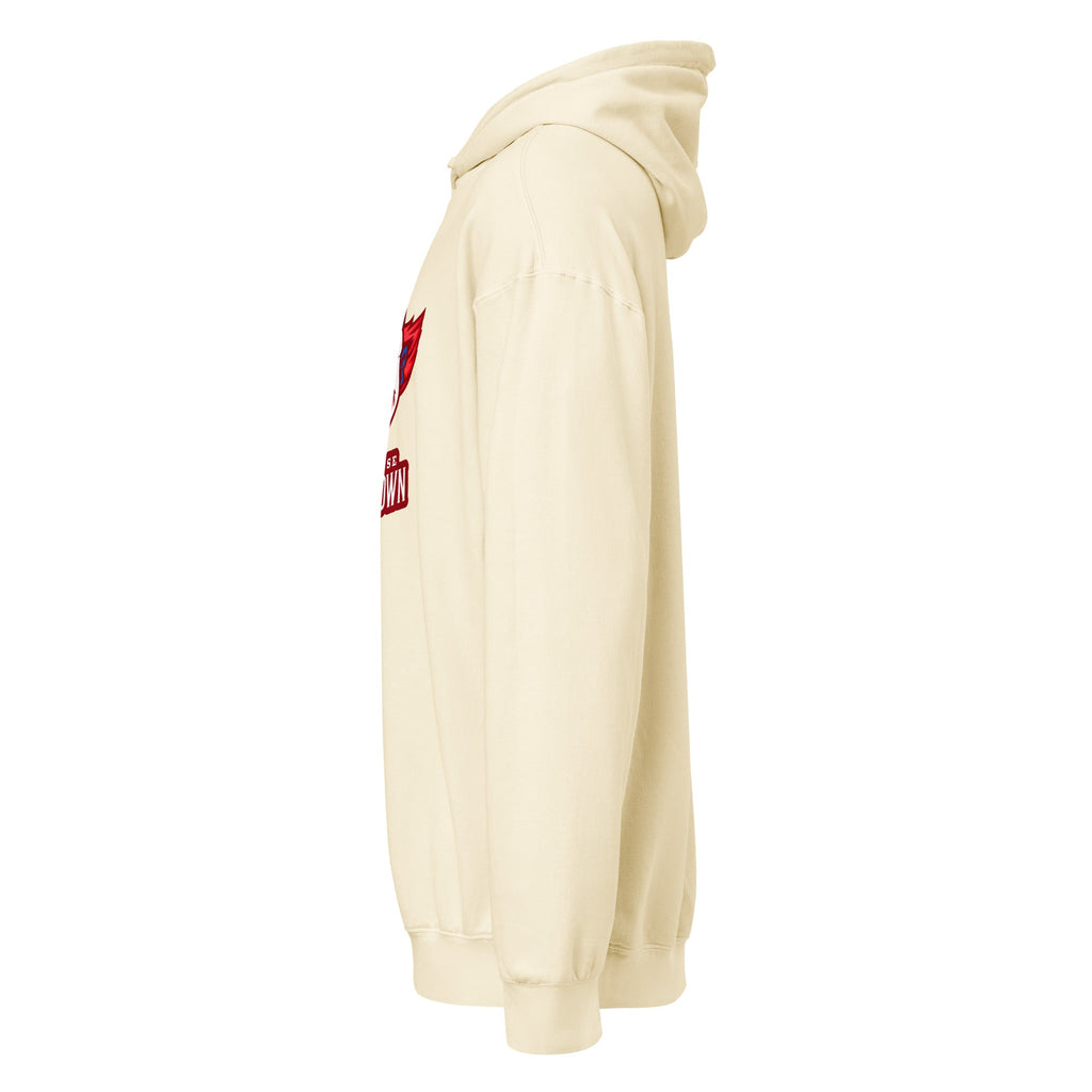 Premium Mid-Weight Unisex Hoodie for Men - Garment Dyed Quality - RBW COLLECTION