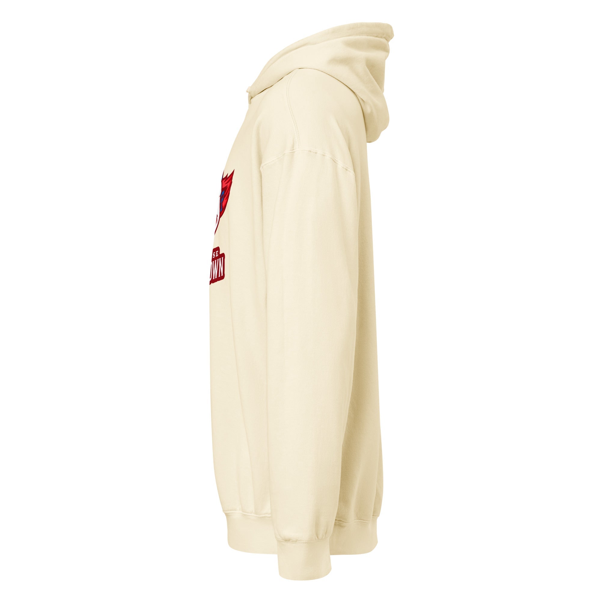 Premium Mid-Weight Unisex Hoodie for Men - Garment Dyed Quality - RBW COLLECTION