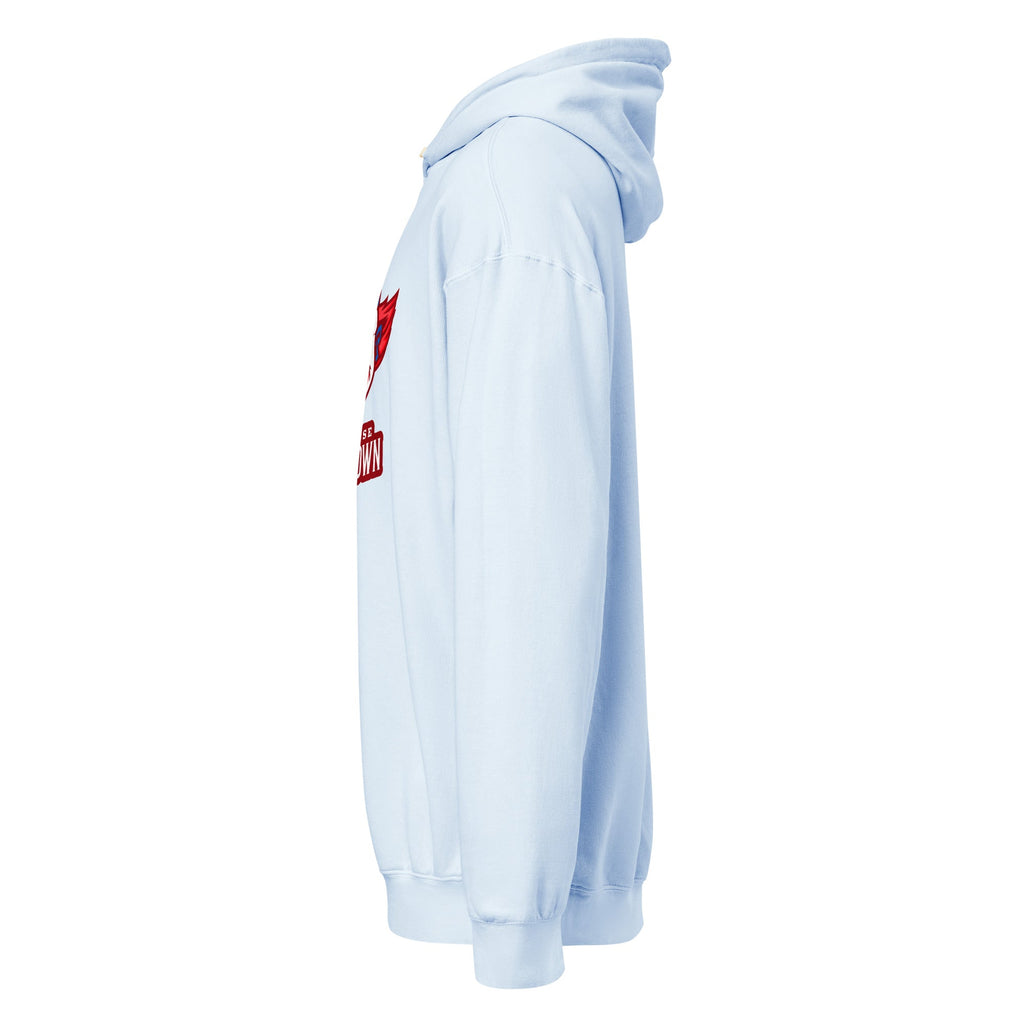 Premium Mid-Weight Unisex Hoodie for Men - Garment Dyed Quality - RBW COLLECTION