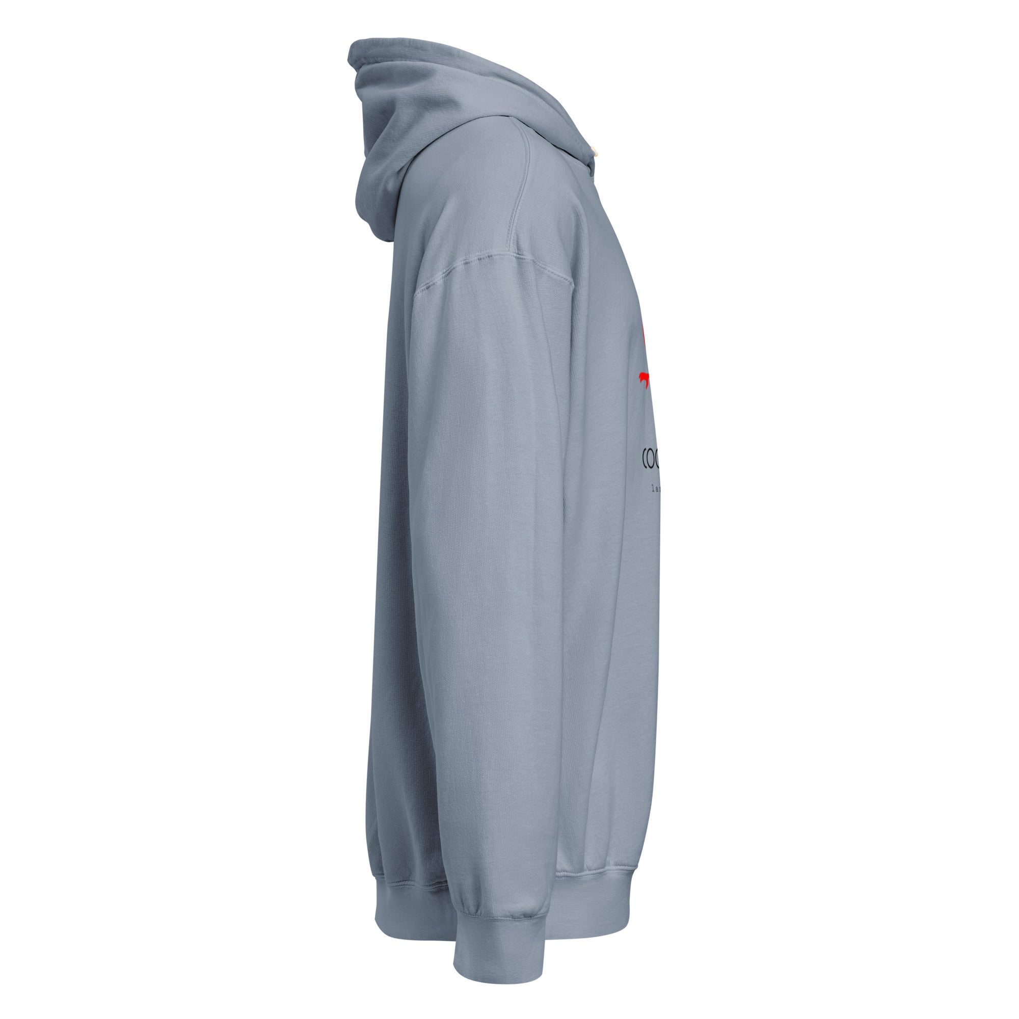 Men's Premium Mid-Weight Unisex Hoodie - RBW COLLECTION