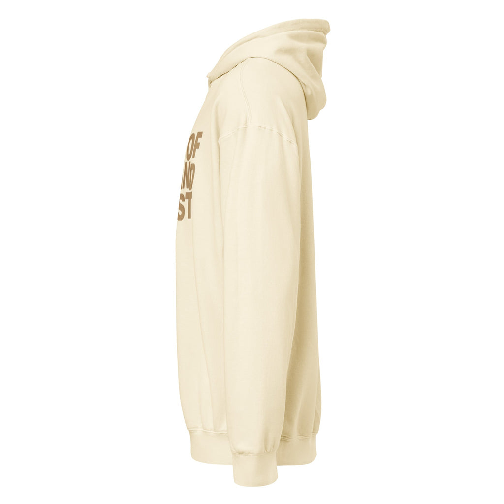 Premium Mid-Weight Unisex Hoodie for Men - Garment-Dyed & Lightweight - RBW COLLECTION