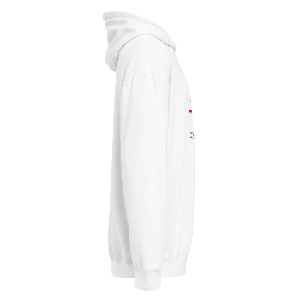Men's Premium Mid-Weight Unisex Hoodie - RBW COLLECTION