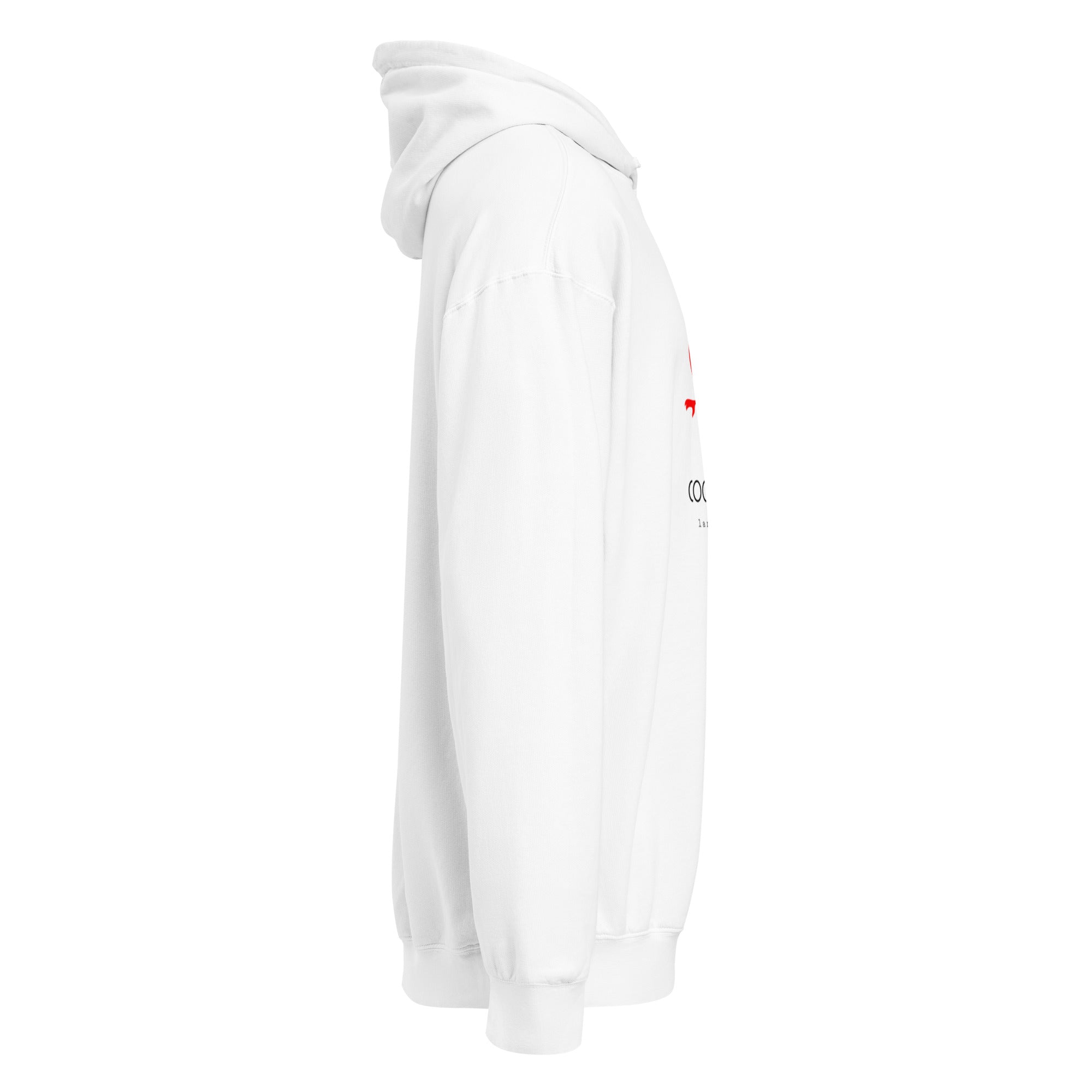 Men's Premium Mid-Weight Unisex Hoodie - RBW COLLECTION