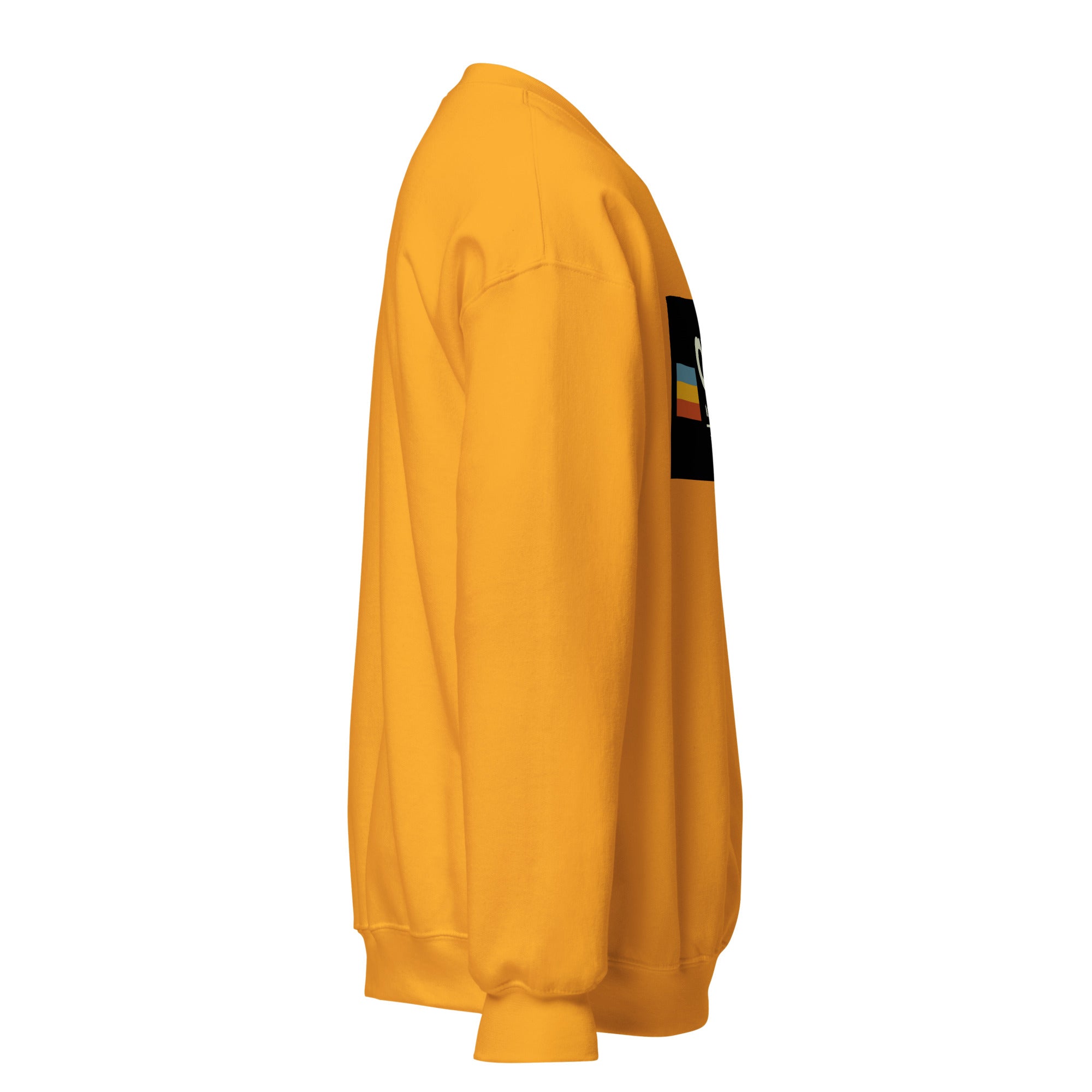 Premium Mid-Weight Unisex Hoodie for Men - 90 Characters - RBW COLLECTION